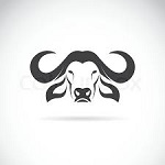 Avatar von longbueffel